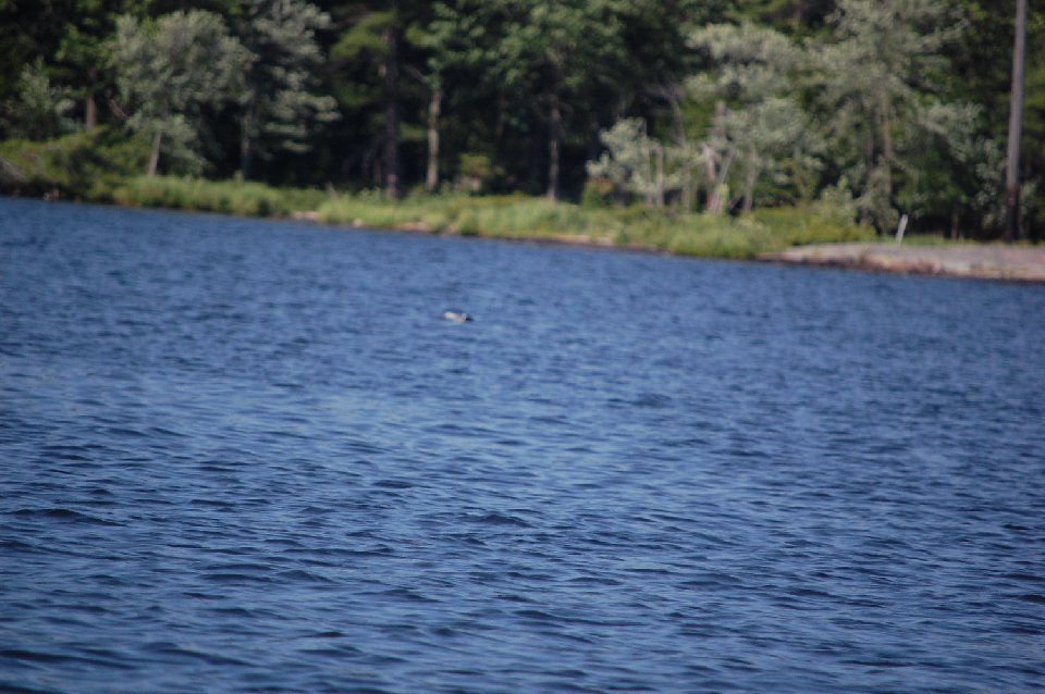 SUMMER2010- (31)